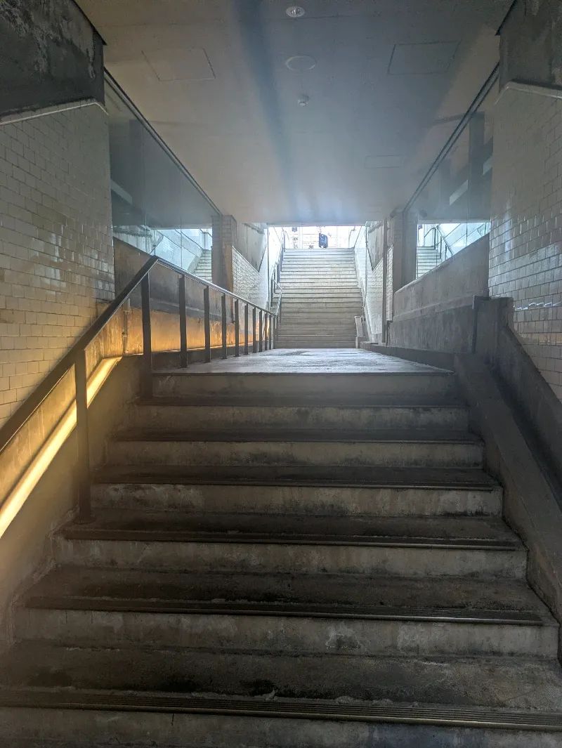 導かれてしまいますのナゾ活写真