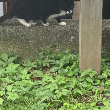 てんさんのナゾ活写真 4