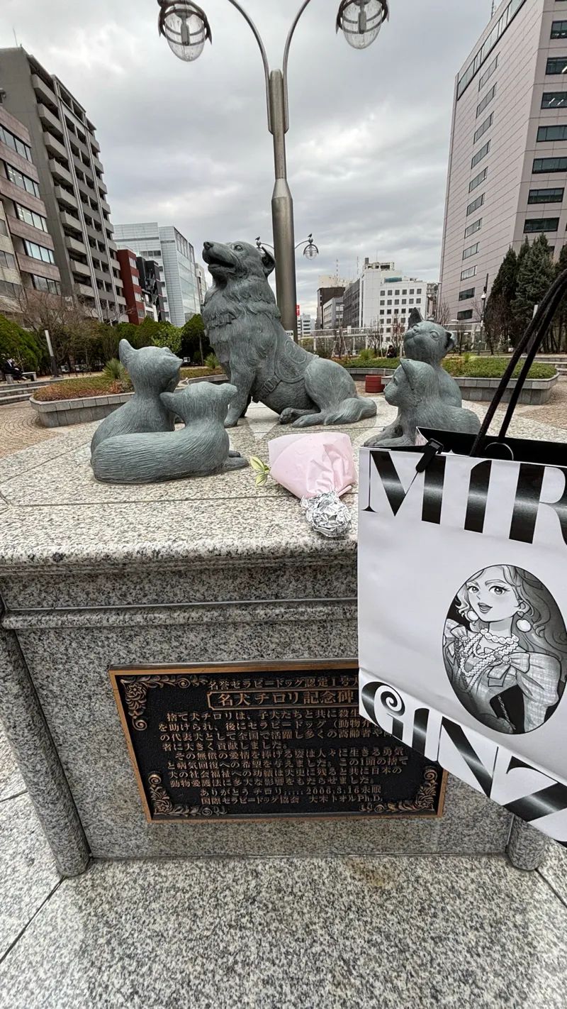 お嬢様はエスパー探偵　銀座編のナゾ活写真