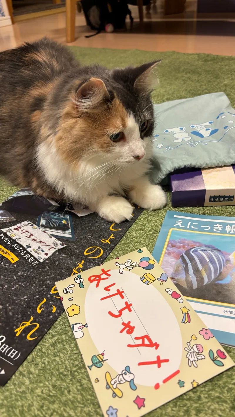 ないしょのものいれのナゾ活写真