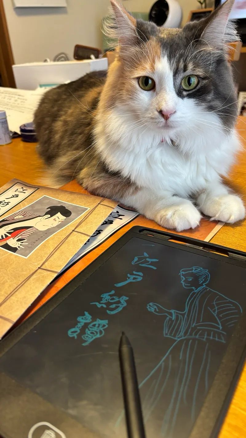 江戸綺譚 （えどきたん）のナゾ活写真