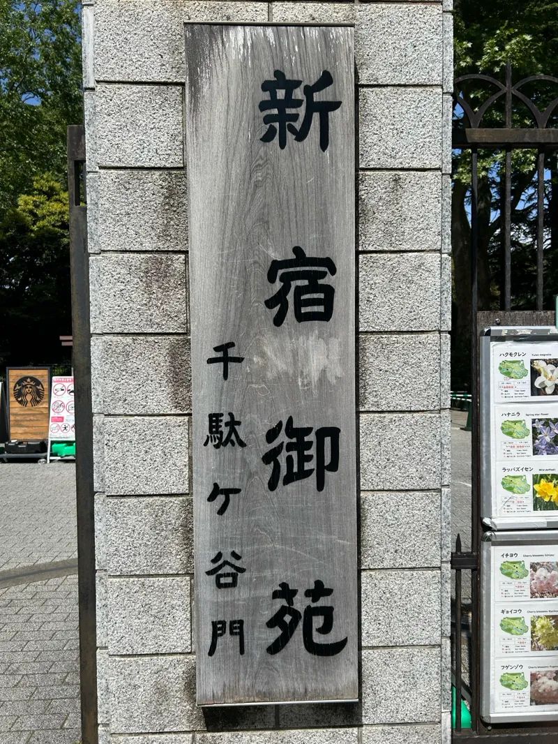 新宿御苑植物巡り 朝焼け編のナゾ活写真