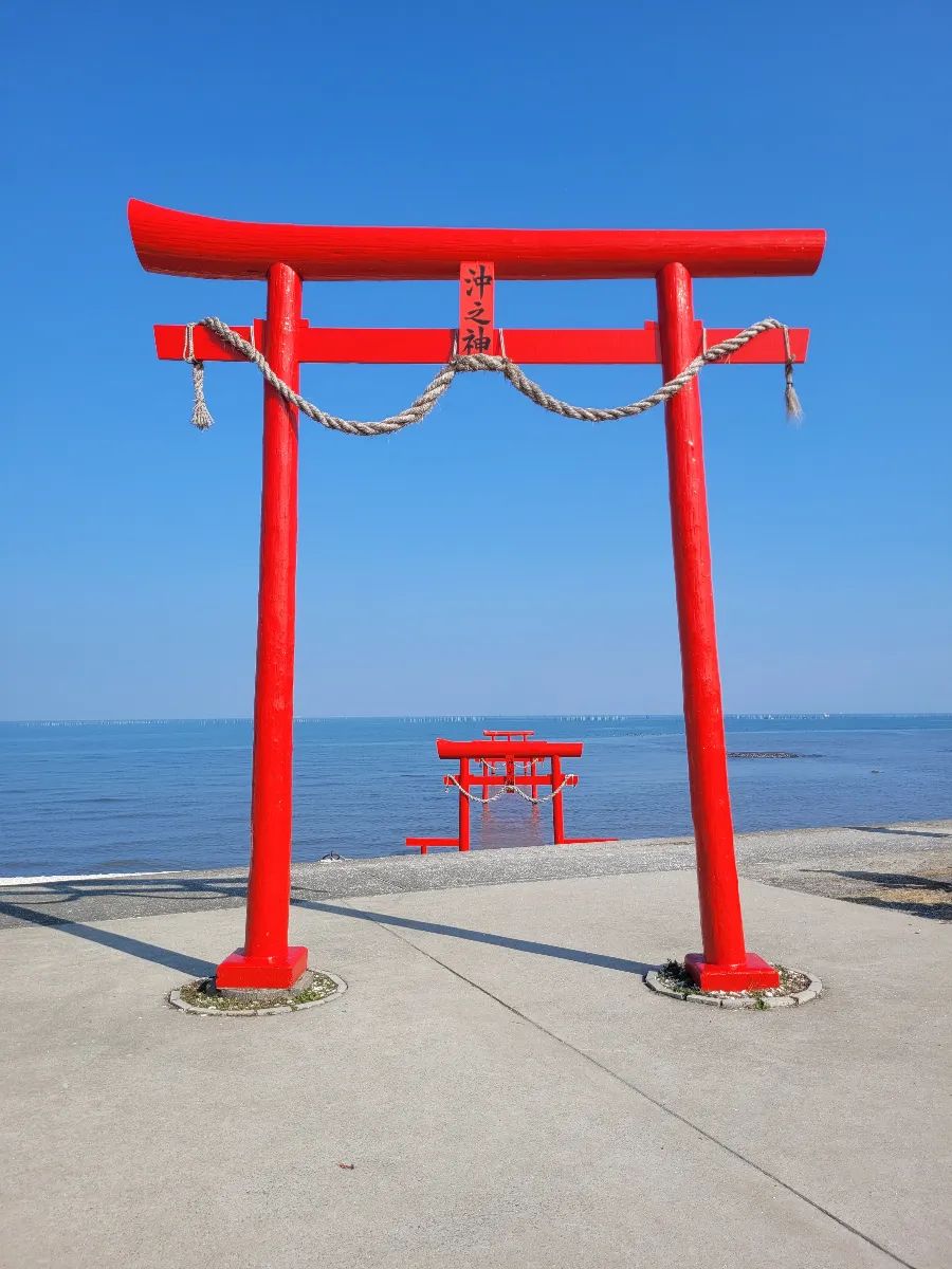 太良有明シークリングミステリーのナゾ活写真