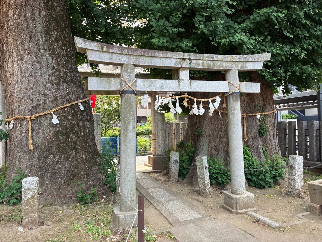 川越ナゾトキ奇譚　城下に漂う記憶と不思議な儀式のナゾ活写真