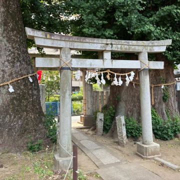 シープさんのナゾ活写真 3