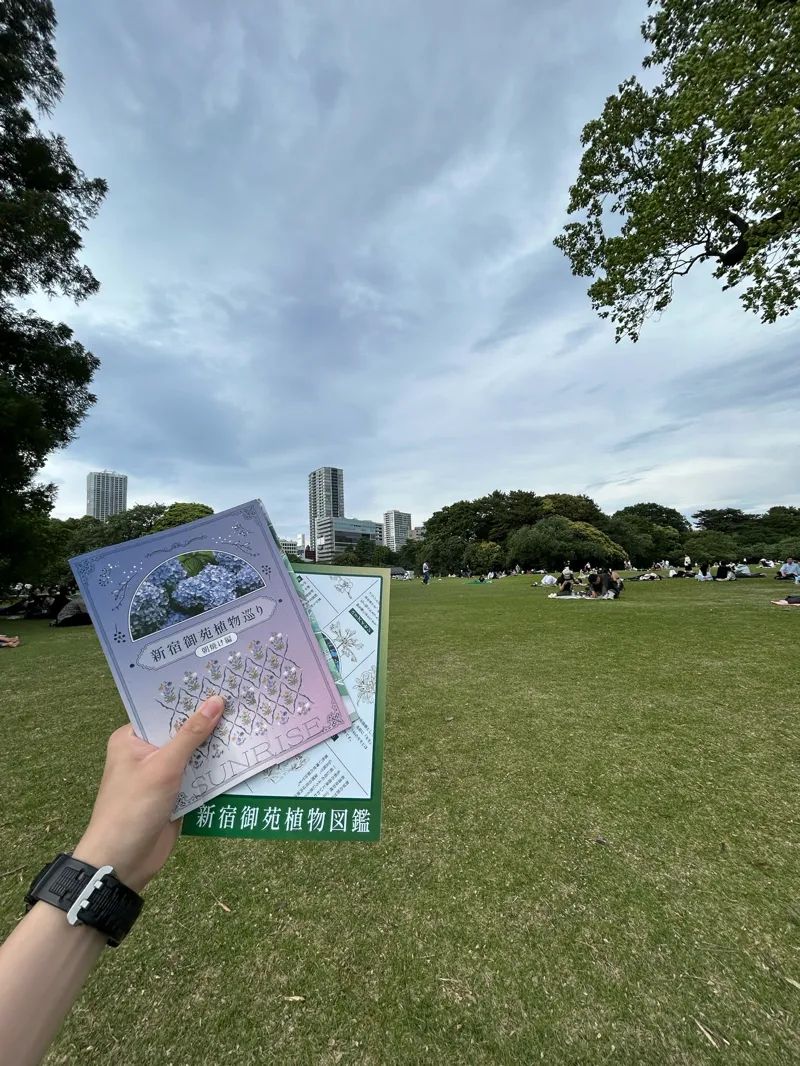 新宿御苑植物巡り（朝焼け編、夕焼け編、宵編）のナゾ活写真