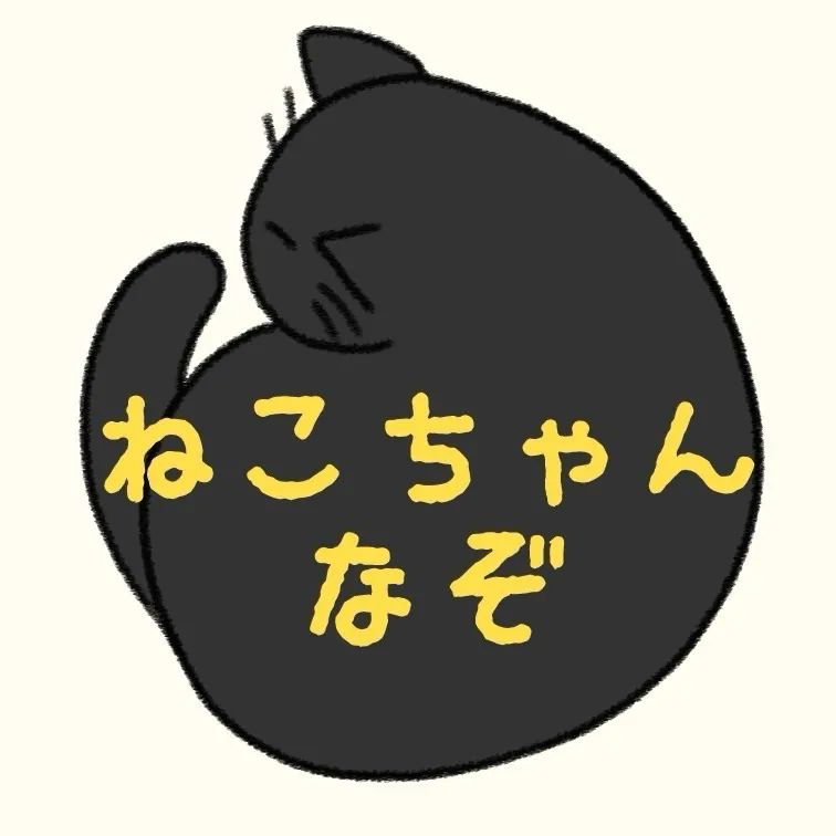 ねこちゃんなぞのナゾ活写真